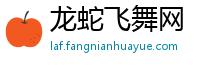 龙蛇飞舞网